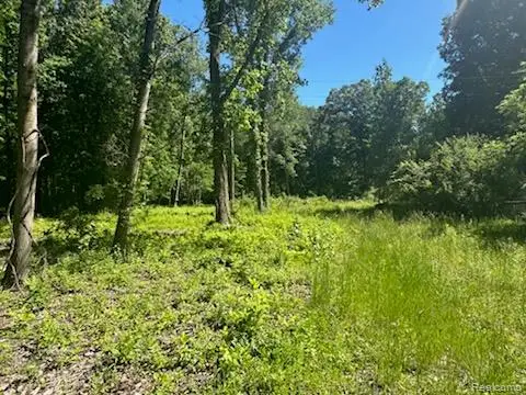 44735 Dunn Road, Belleville, MI 48111 - #3