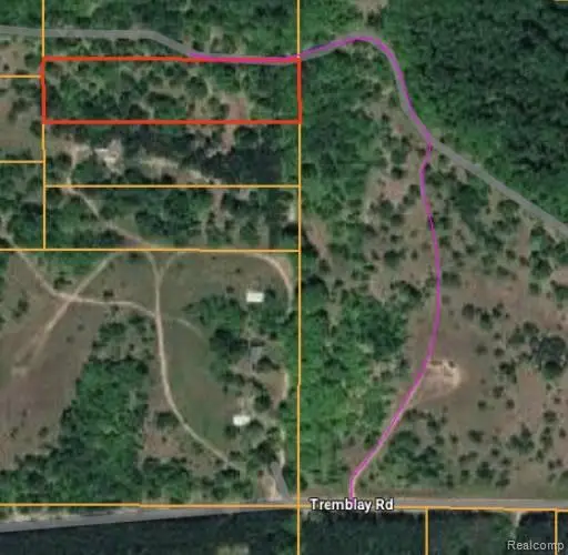 V/L Tremblay Road, Mancelona, MI 49659 - #2