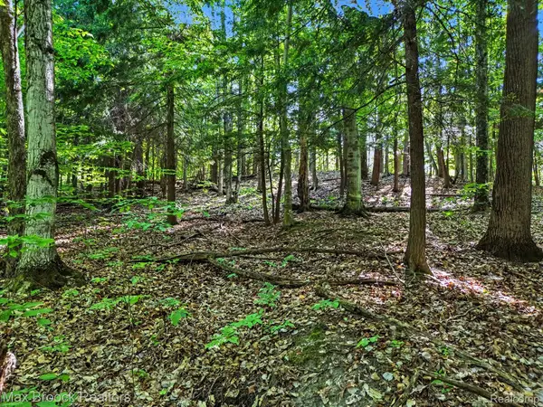 125 Legend Trail, Bellaire, MI 49615