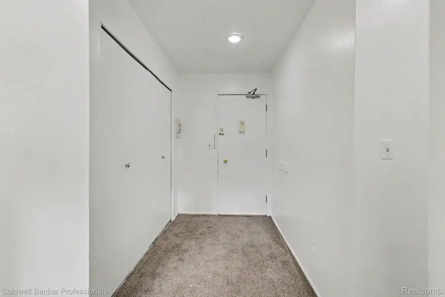207 Ballard St Street #101, Ypsilanti, MI 48197 - #2