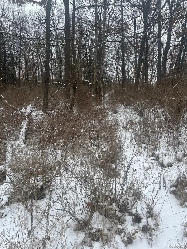12840 Larkins Road, Brighton, MI 48114