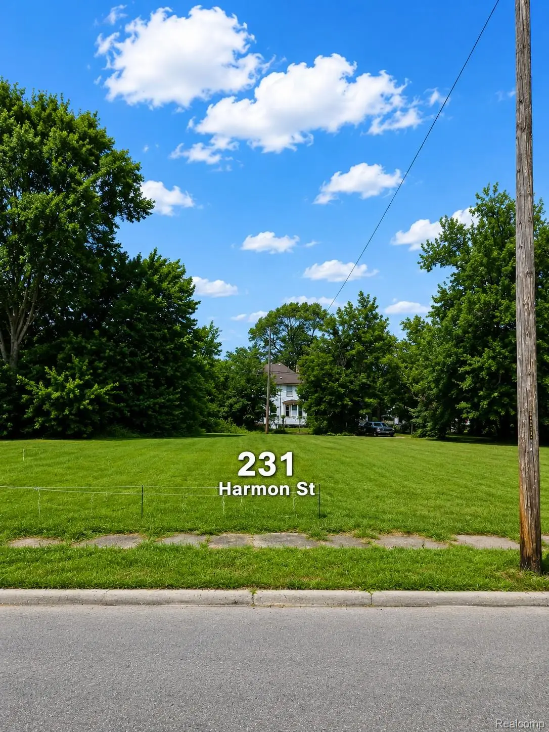 231 Harmon Street, Detroit, MI 48202 - #1