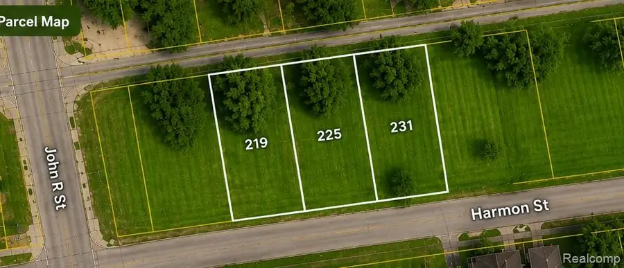 231 Harmon Street, Detroit, MI 48202 - #3