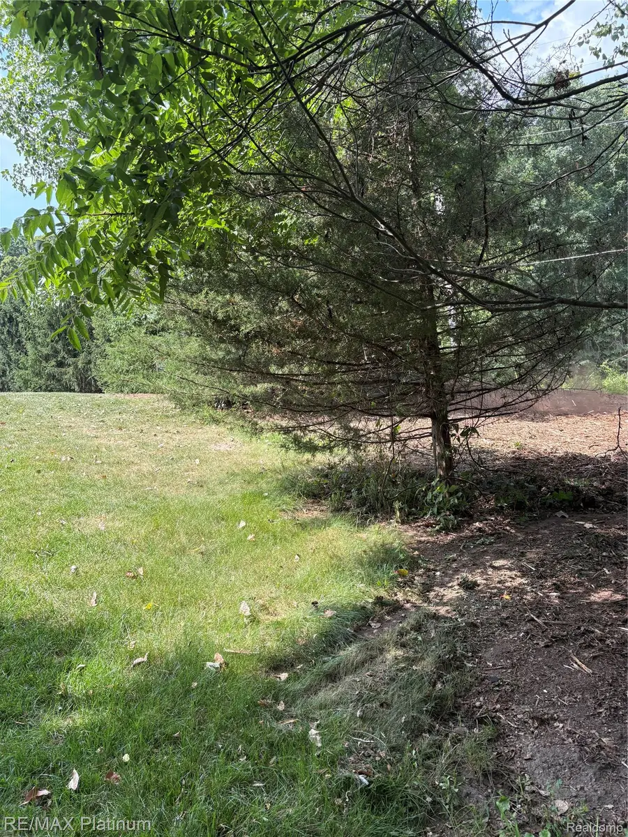 16133 Meredith Court, Linden, MI 48451 - #2
