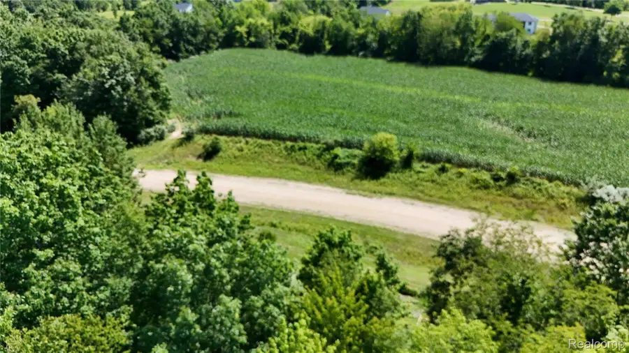Parcel 2 Sycamore St, Dryden, MI 48428 - #2