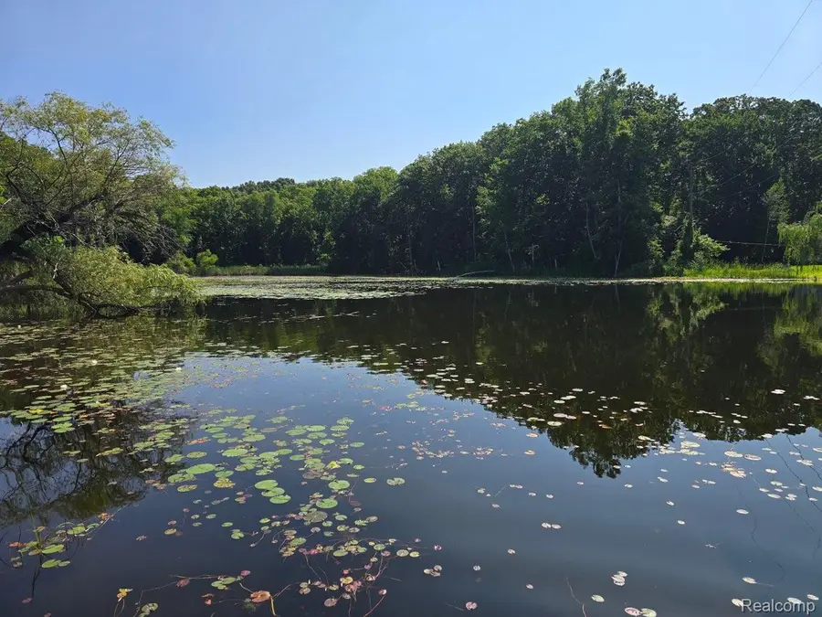 5751 Island Drive, Goodrich, MI 48438 - #3