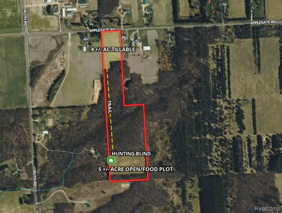 000 Applegate Road, Applegate, MI 48401 - #2