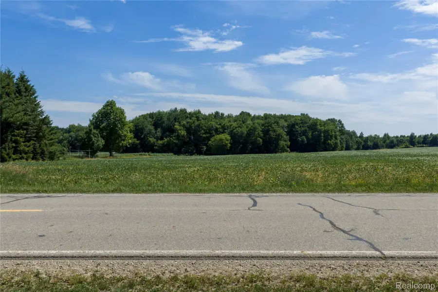 000 Applegate Road, Applegate, MI 48401 - #3