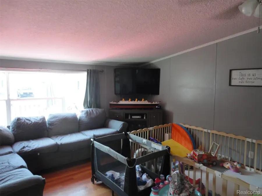 241 Emerald Circle, Dundee, MI 48131 - #3