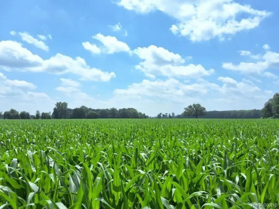AUCTION Lot# 7 10 acres Capac Road, Capac, MI 48014 - #2