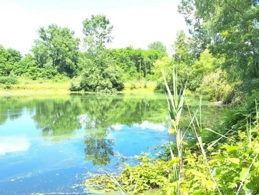 2040 Golf Course Road, Harsens Island, MI 48028 - #3