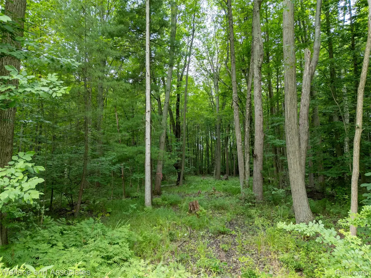 V/L Rabidue Road, Clyde, MI 48049 - #1