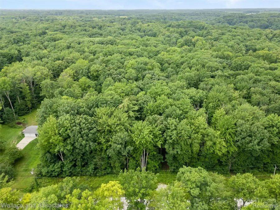 V/L Rabidue Road, Clyde, MI 48049 - #2
