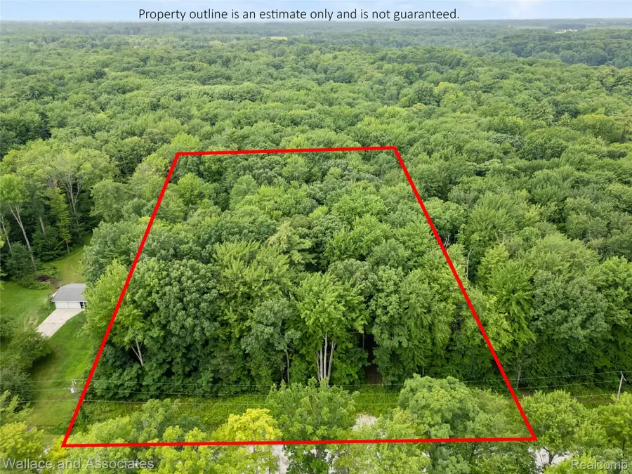V/L Rabidue Road, Clyde, MI 48049 - #3