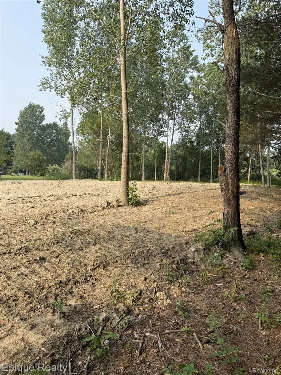 00 Hemlock Dr, Lakeport, MI 48059 - #3