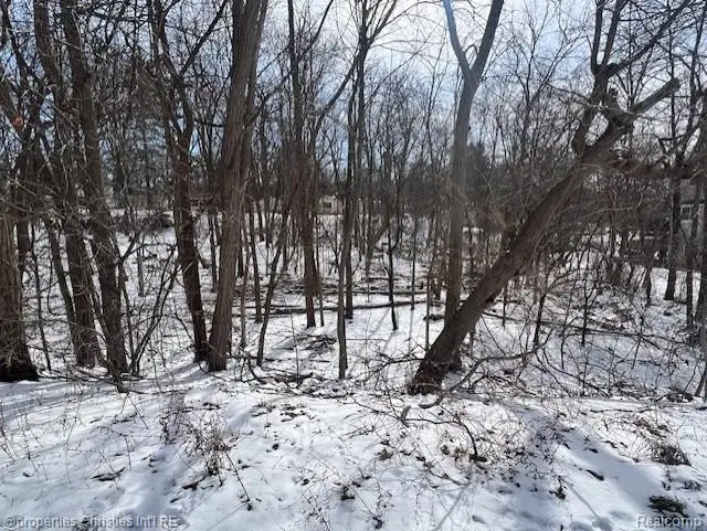 439 Alberta Street Lot 80, Auburn Hills, MI 48326 - #1