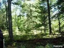 789 E Logan Boulevard, Idlewild, MI 49642