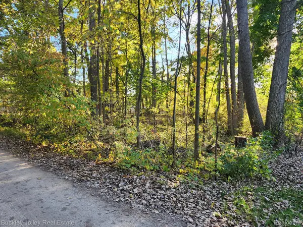 0000 Van Horn Drive, Pinckney, MI 48169
