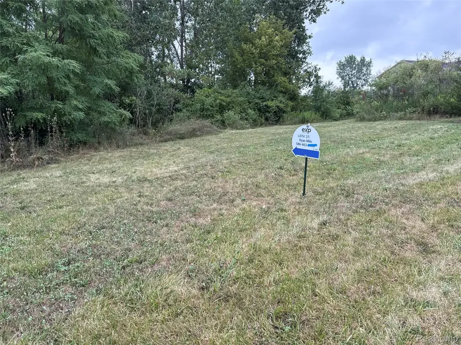 9076 Potterville Drive, Willis, MI 48191 - #2