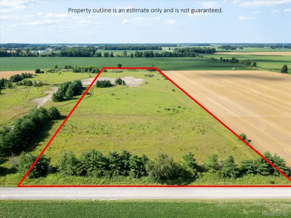 Vacant Land 2 Wellman Line, Yale, MI 48097