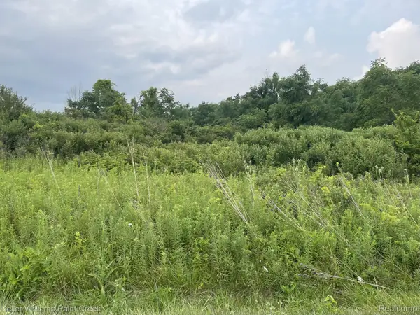 32 Mile Road, Ray, MI 48096
