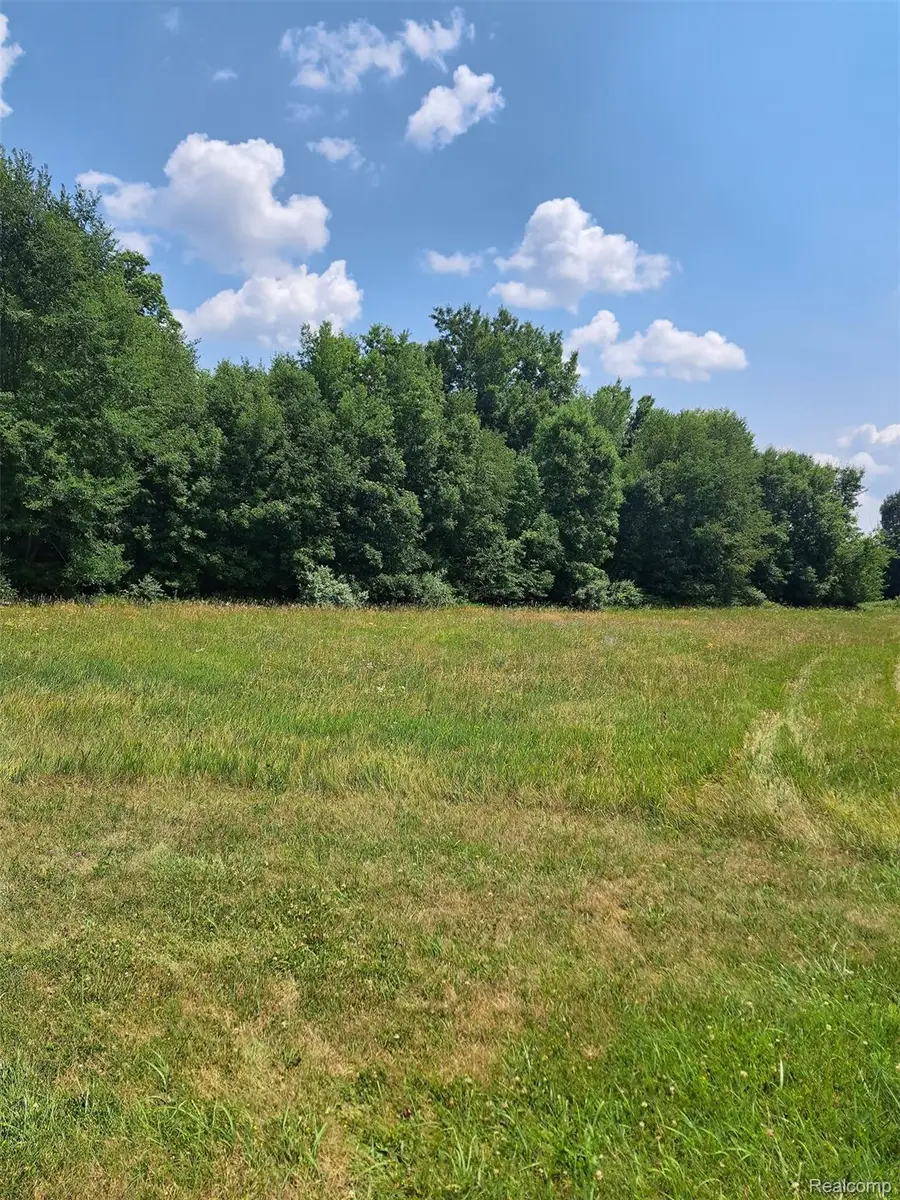 6120 Sunnys Way, Imlay, MI 48444 - #2