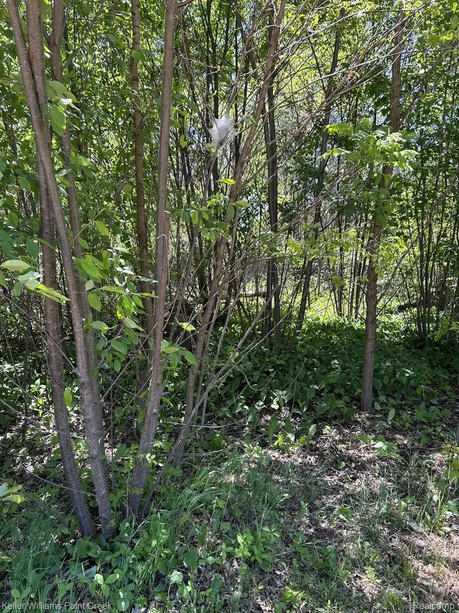 0 Van Street, Skidway Lake, MI 48756 - #2