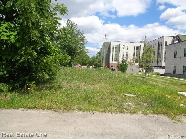 3354 15th Street, Detroit, MI 48208 - #1
