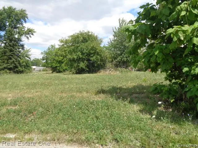 3354 15th Street, Detroit, MI 48208 - #2