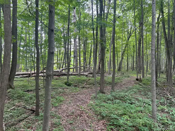 4502 Cemetery Road, Kingston, MI 48741