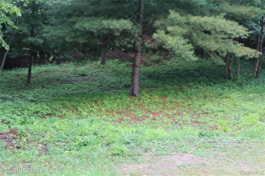 Lot 149 Greensboro Way, Gladwin, MI 48624 - #3