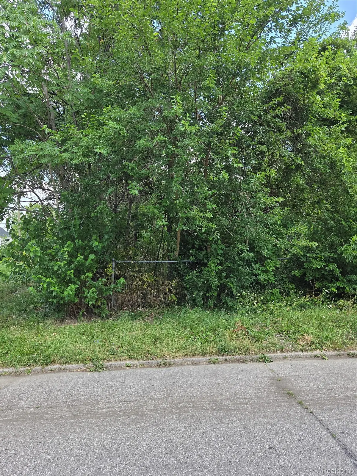 2534 Beals Street, Detroit, MI 48214 - #1