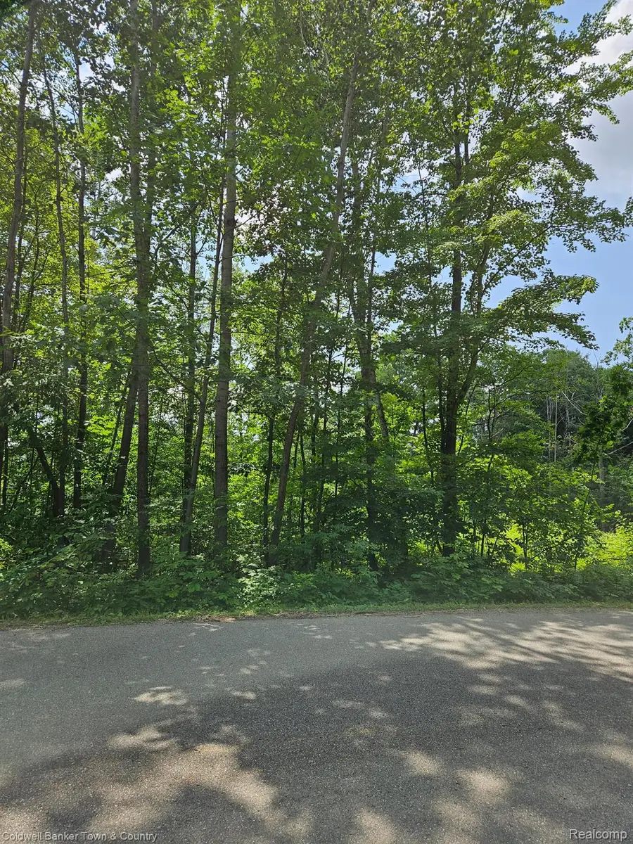 VL Lakeside, Hale, MI 47839 - #2