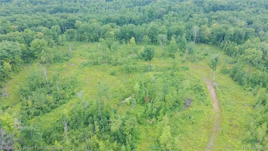 VL Lakeside, Hale, MI 47839 - #3