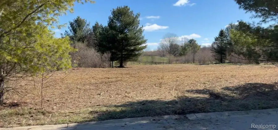 19529 Kluver Road, New Buffalo, MI 49117 - #3