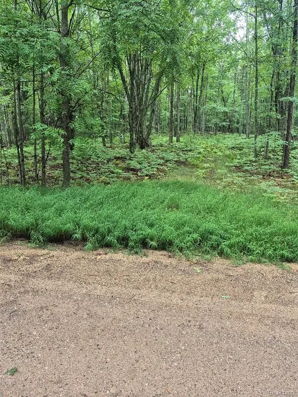 162 (Lot 32) West Ridge Circle, Leroy, MI 49655