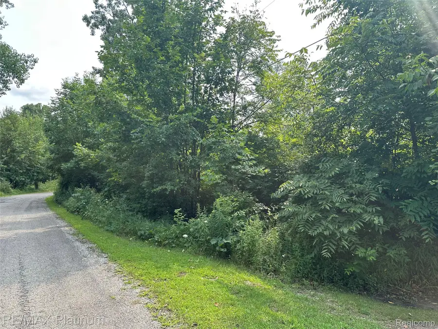W Peterson Drive, Brighton, MI 48114 - #3