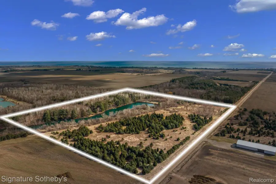 7699 Minnick Road, Rubicon, MI 48441 - #3