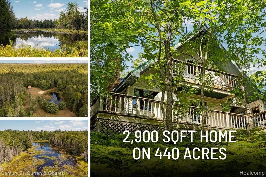 3265 Roost Road, Onaway, MI 49765 - #1