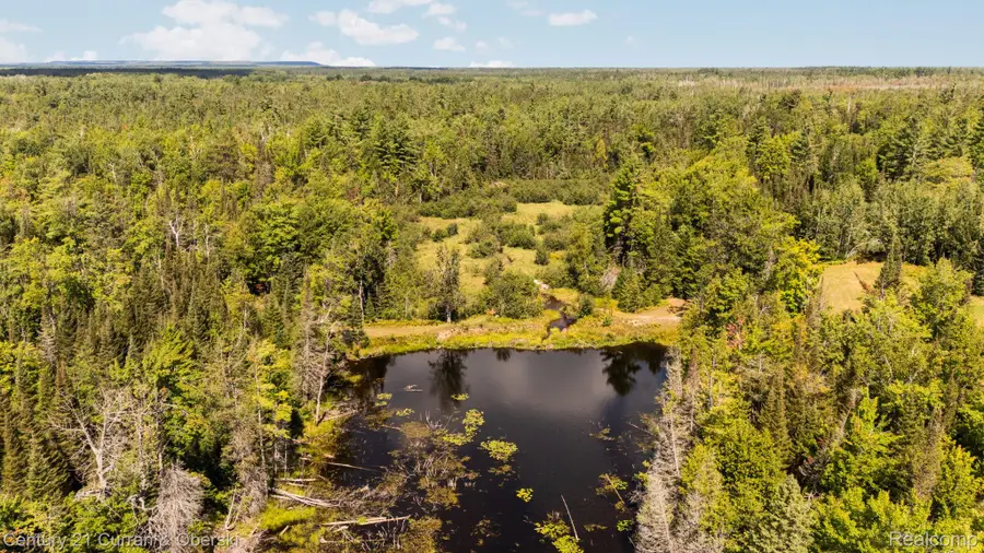 3265 Roost Road, Onaway, MI 49765 - #2