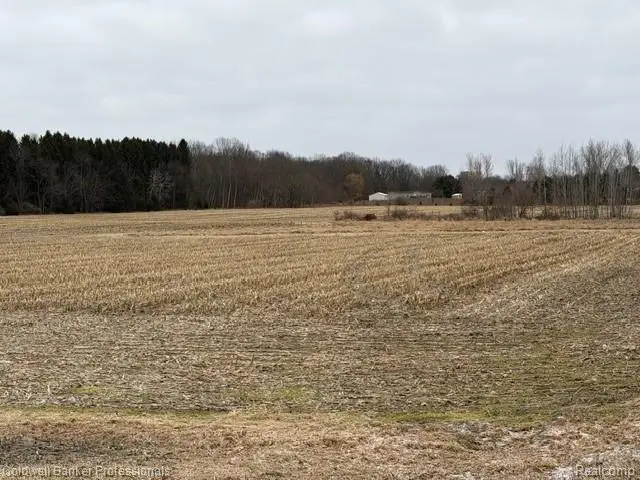 VL N Branch Road, North Branch, MI 48461 - #1