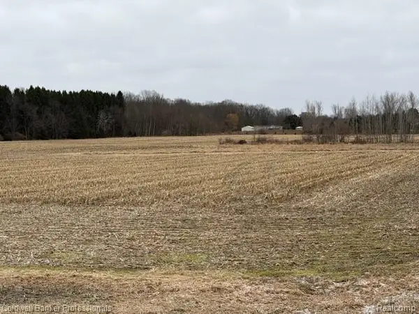 VL N Branch Road, NorthBranch, MI 48461