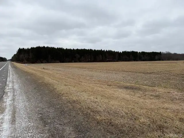 VL N Branch Road, North Branch, MI 48461 - #2