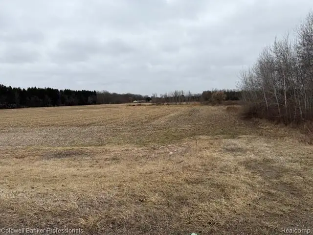 VL N Branch Road, North Branch, MI 48461 - #3