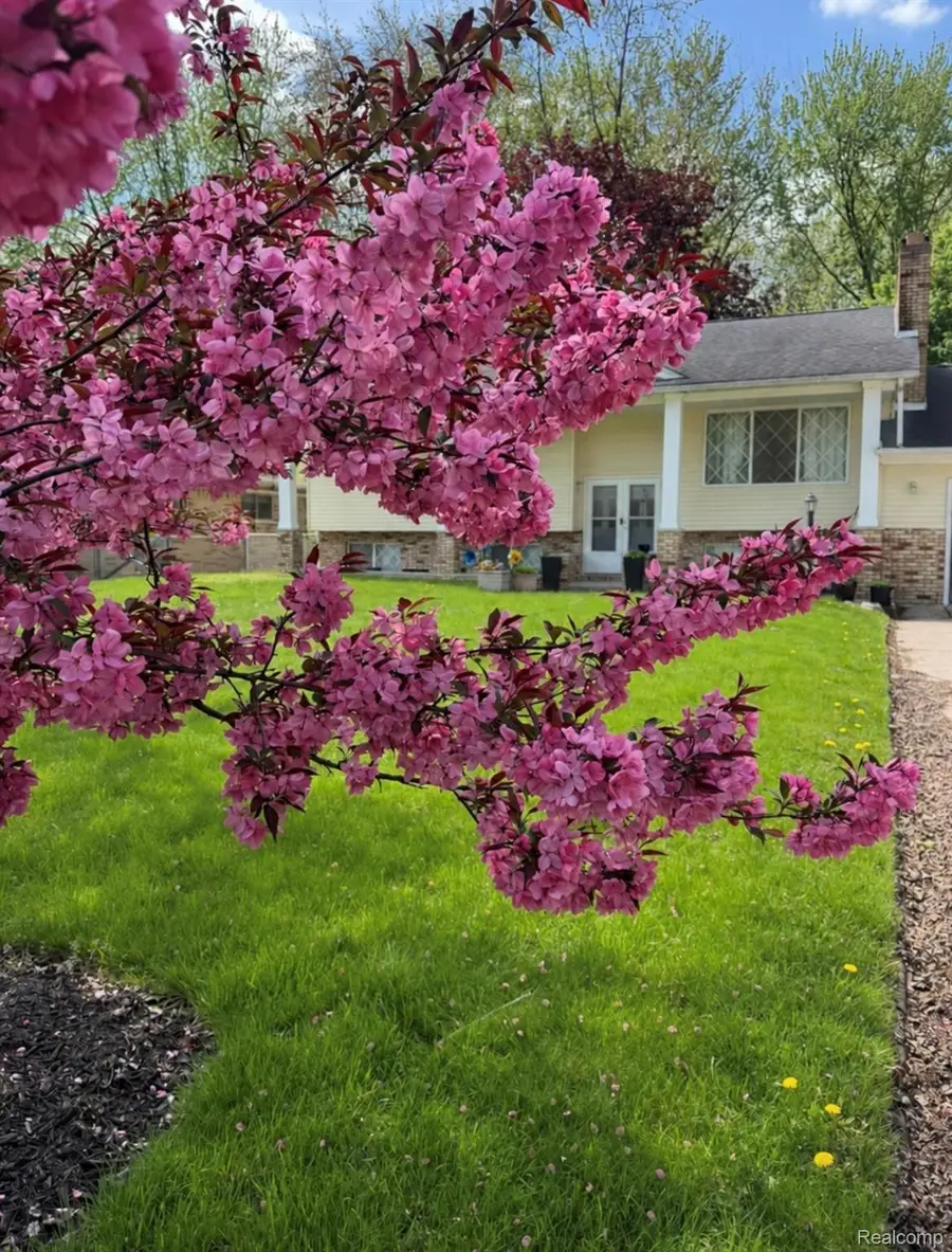 38185 Willowmere Street, Harrison Township, MI 48045 - #3