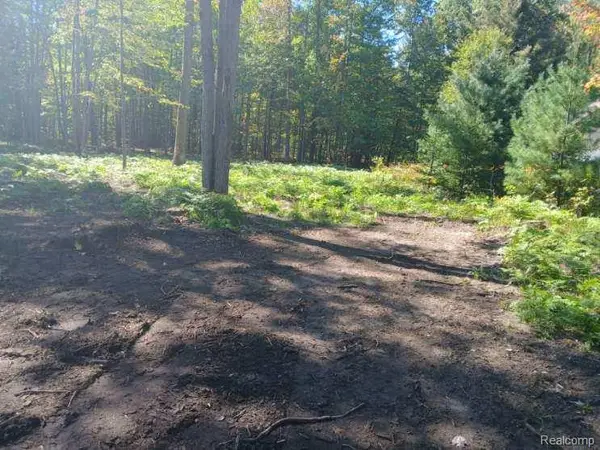 0 Goldenrod Dr, HoughtonLake, MI 48629