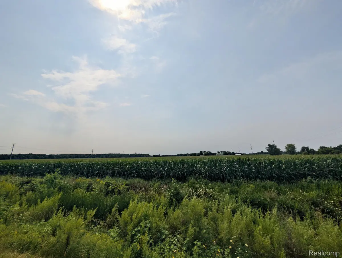 VL Brown Rd Road, Greenwood, MI 48006 - #1