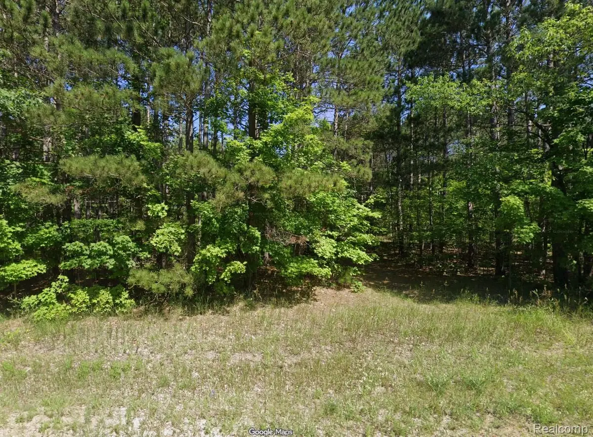 20884 Fewins Road, Interlochen, MI 49643 - #1