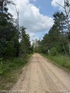 0000 Winding Rd Road, Lewiston, MI 49756