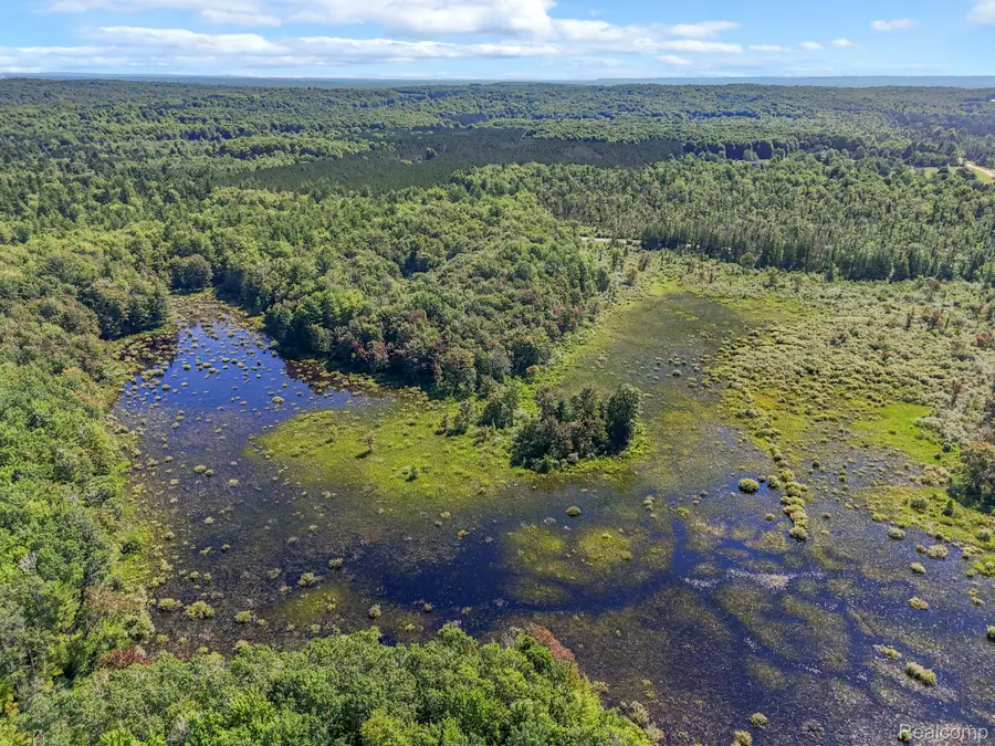 2738 S Thompsonville Road, Thompsonville, MI 49683 - #2